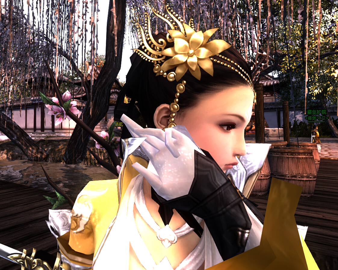 没有白发也可以