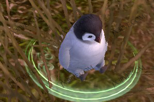 小极.PNG